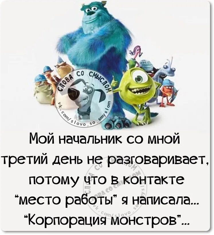 Смешное про начальник. Смешные фразы про начальника. Смешные фразы про начальство. Высказывания про начальство. Прикольные фразы про начальника.