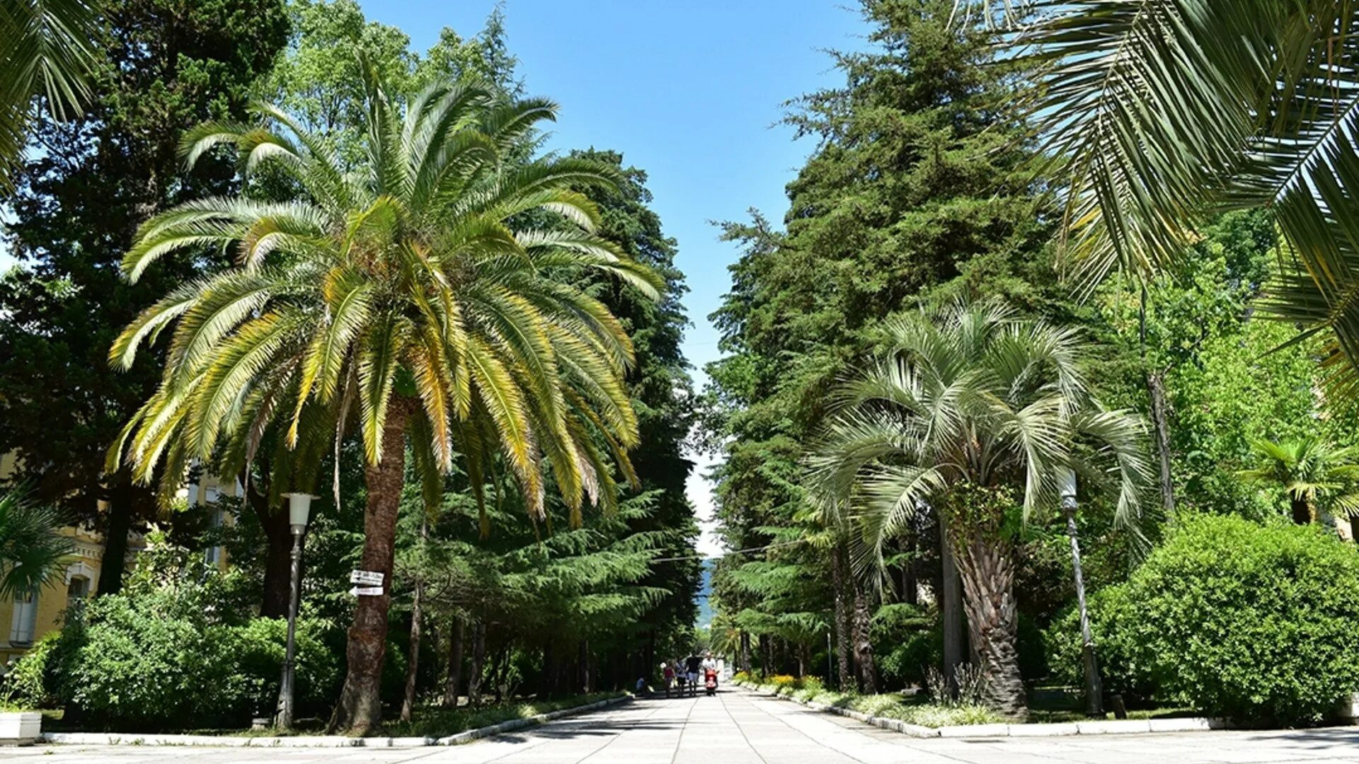 чегем гагра. чегем абхазия сухум кафе. парк на мво сухум. санаторий грузия гагра. гостиница чегем абхазия.