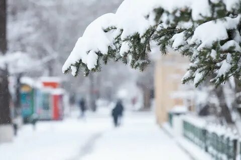 Сегодня придет снег