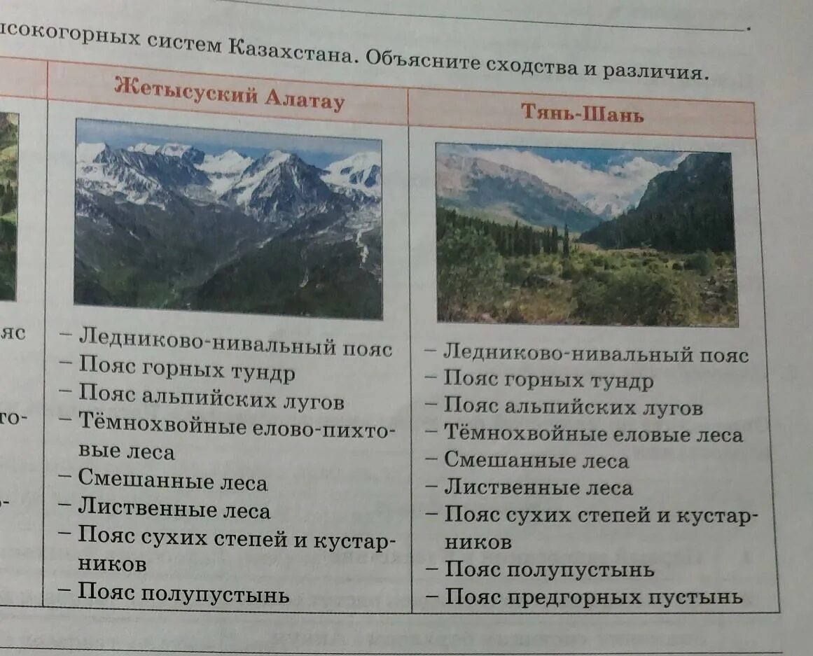 Природная зона горы алтай