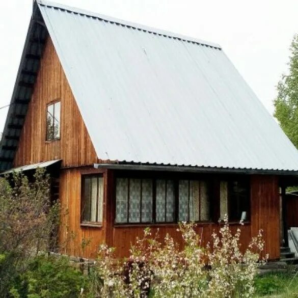 сад глухое. деревня чб. красивая зеленая природа. вишнёвый сад снять домик. домик в лесу.