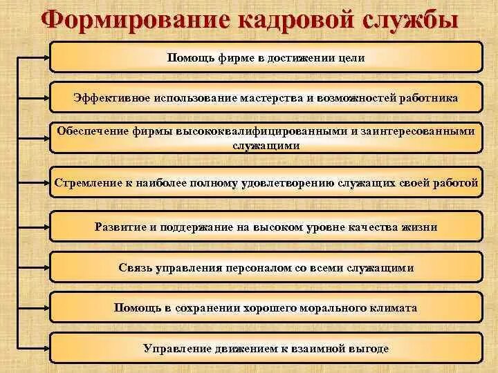 Функции кадровых служб организаций. Формирование кадровой службы. Формирование кадровой службы организации. Этапы развития кадровой службы. Формирование кадрового состава службы.