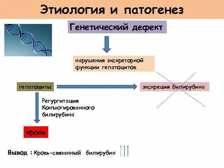 Генотипы жильбера. Синдром Жильбера механизм развития. Синдром Жильбера этиология. Синдром Жильбера схема наследования. Синдром Жильбера патогенез кратко.