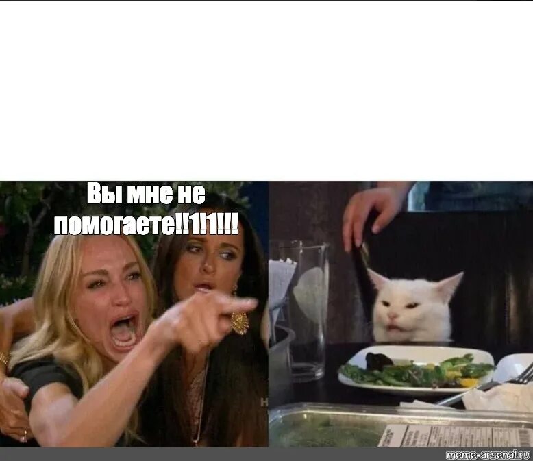 Мем бабы и кот за столом. Мемы с котом за столом и девушками. Мем с кричащей женщиной и котом. Текст песни она делит вайп