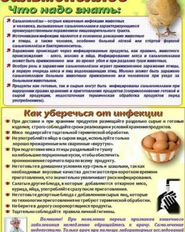 При сальманиоз передачи инфекции возможно через ответ