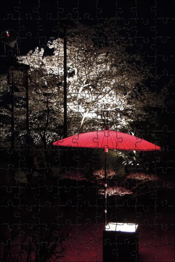 Старлинг светится ночью. Umbrella night. Ambrella light street. Зонтик. Umbrella night.