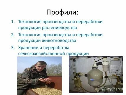 Переработка продукции растениеводства и животноводства