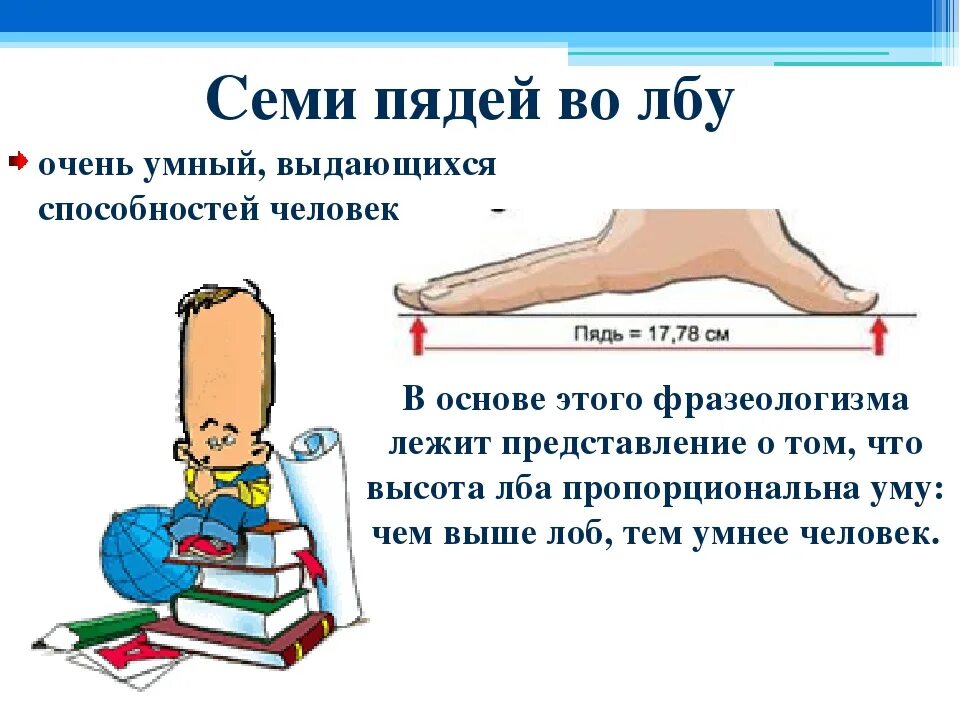 Значение выражение понять человека. Семи пядей во лбу значение фразеологизма. выражение 7 пядей во лбу. семья пядей во лбу значение. семь пядей во лбу происхождение.