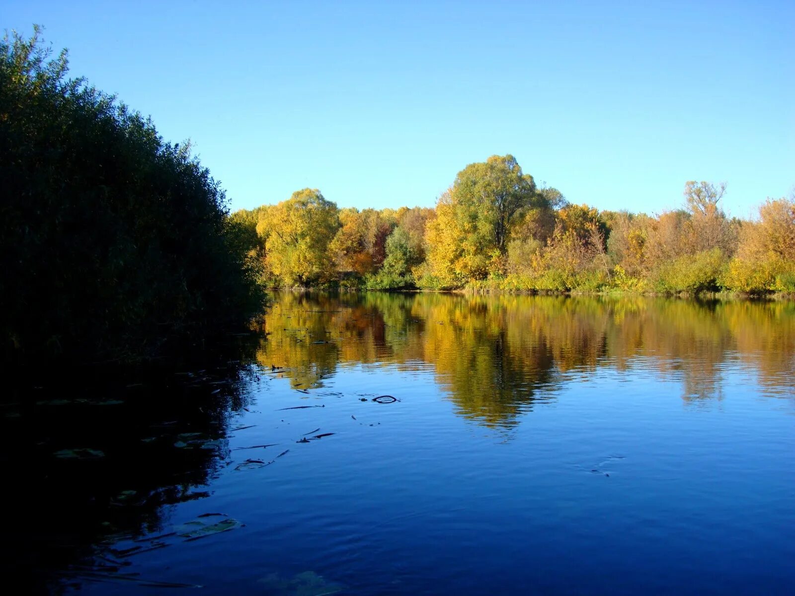 Река в курской области 5 букв. Сейм Курск. Река Сейм. Курский край река Сейм. Курск природа река Сейм.