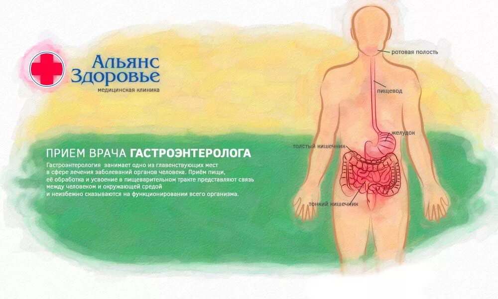 Записать ребенка к гастроэнтерологу. Прием гастроэнтеролога реклама. День гастроэнтеролога. Обследование желудочно-кишечного тракта. Гастроэнтеролог баннер.