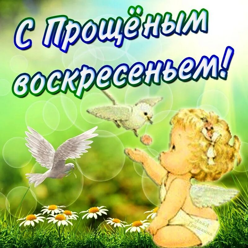 Прощенное 2013. С прощенным воскресеньем. открытки с прощённым воскресеньем. с прощенным. прощенноетвоскресенье.