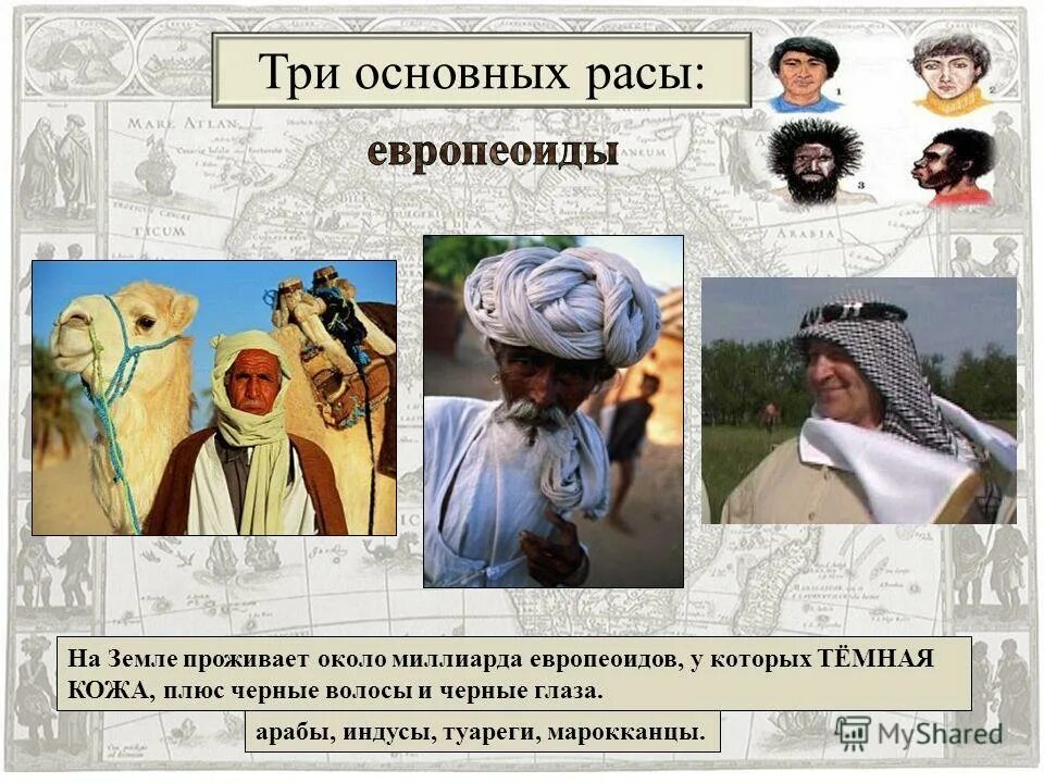 арабы семиты. какие народы относятся к арабам. арабы люди. нации востока список. арабы презентация.
