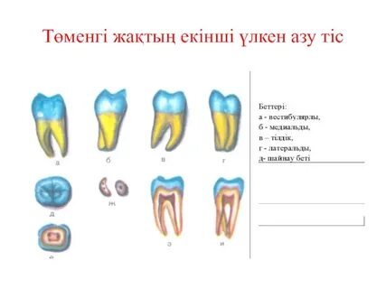 Іш киімдегі порно фото галерея