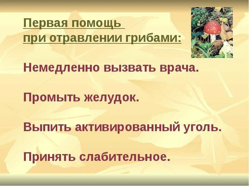 Сообщение первая помощь при отравлении грибами. Первая помощь при отравлении растениями и грибами. первая помощь при отравлении ядовитыми растениями и грибами. оказание первой помощи при отравлении ядовитыми растениями. оказание первой помощи при отравлении грибами фото.