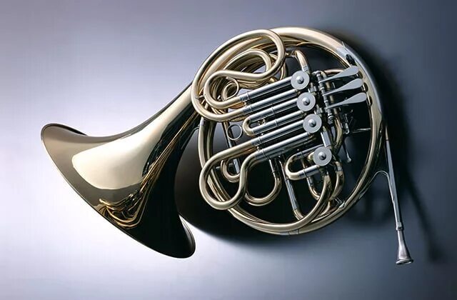 Духовой инструмент бас эсный. Орган в атлантик сити. Музыкальные инструменты. Музыкальные инструменты игрушки. Самый большой орган в мире бордуок.