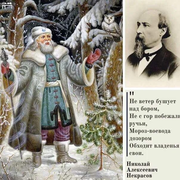 Мороз воеводой обходит. Стих н Некрасова про Мороза воеводу. Некрасов не ветер бушует над бором 3.