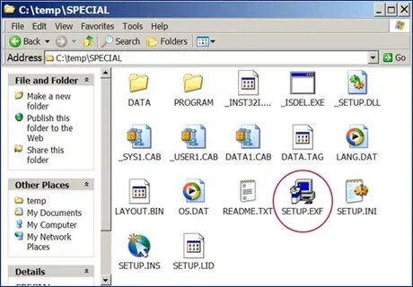 Net setup exe