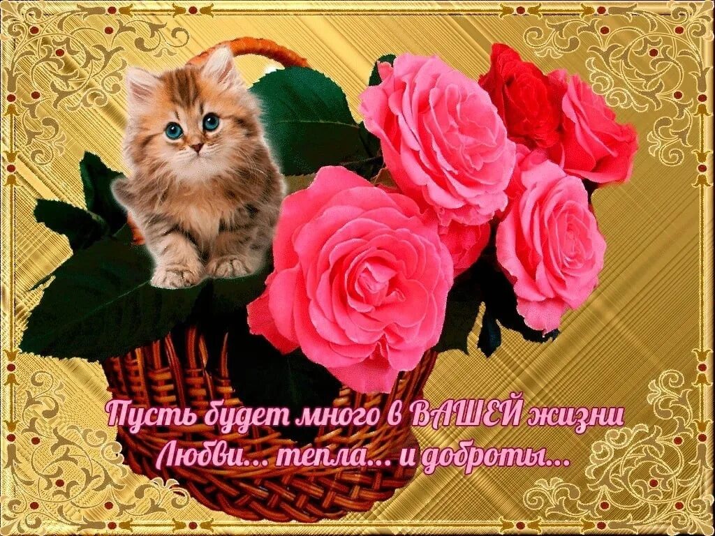 Прекрасному человеку хорошего настроения. Открытка хорошему человеку. добрые пожелания хорошему человеку. красивые теплые пожелания. самые лучшие пожелания.