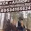 Кск аллюр нижний новгород. Аллюр фф. Конный клуб аллюр бор. Конный клуб зелёный бор. Клуб аллюр бор.