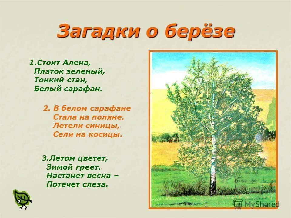 Стихотворение березовый лес