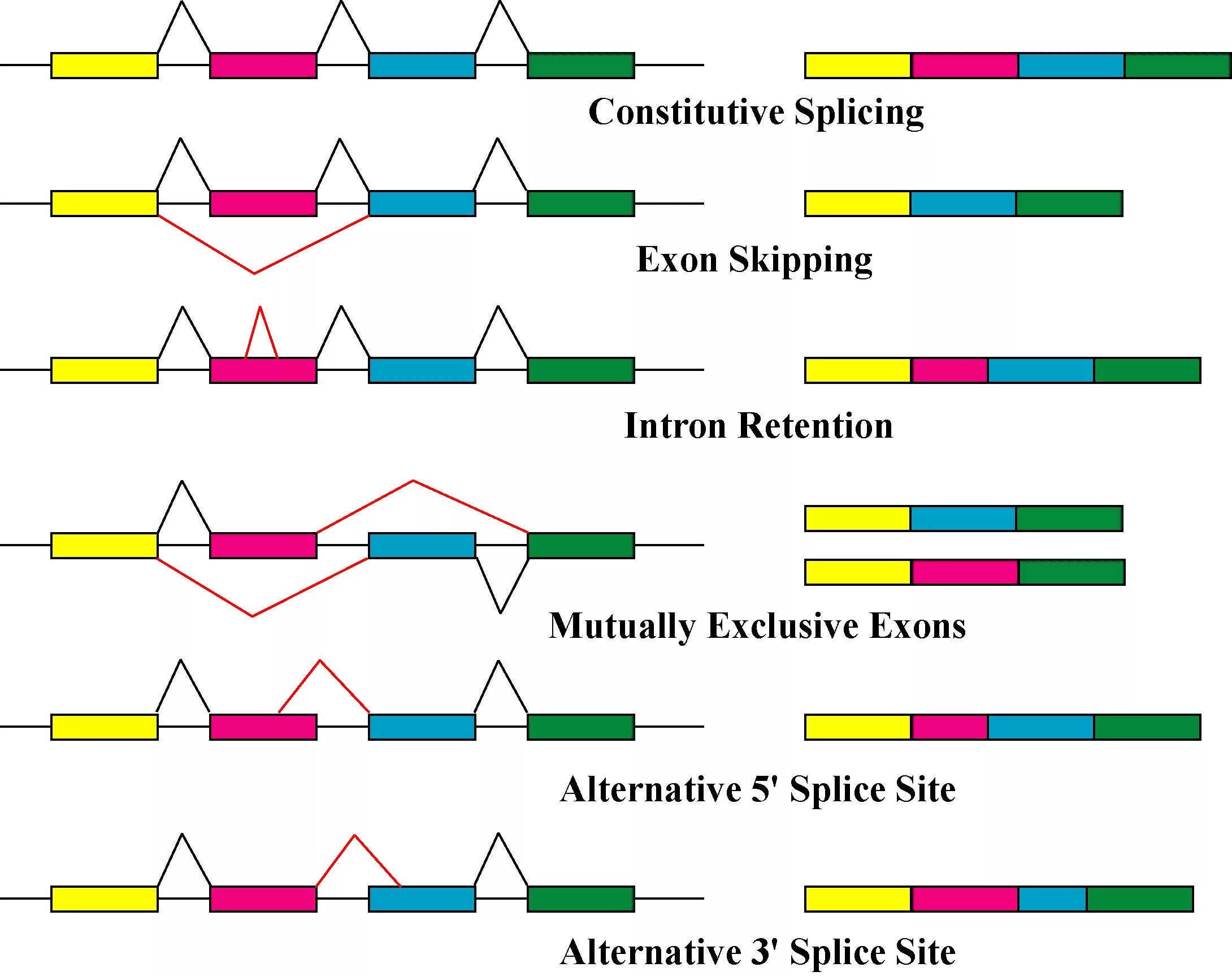 Split processing