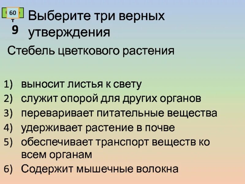 3 верных утверждения