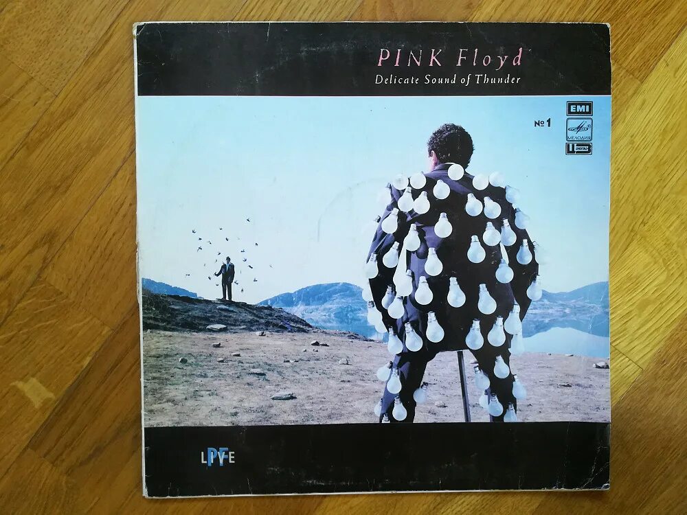 Антроп пинк флойд винил. Пинк флойд винил мелодия. Пинфлоид стена. Pink vinyl. Pink floyd delicate sound of thunder 1988 мелодия пластинка.