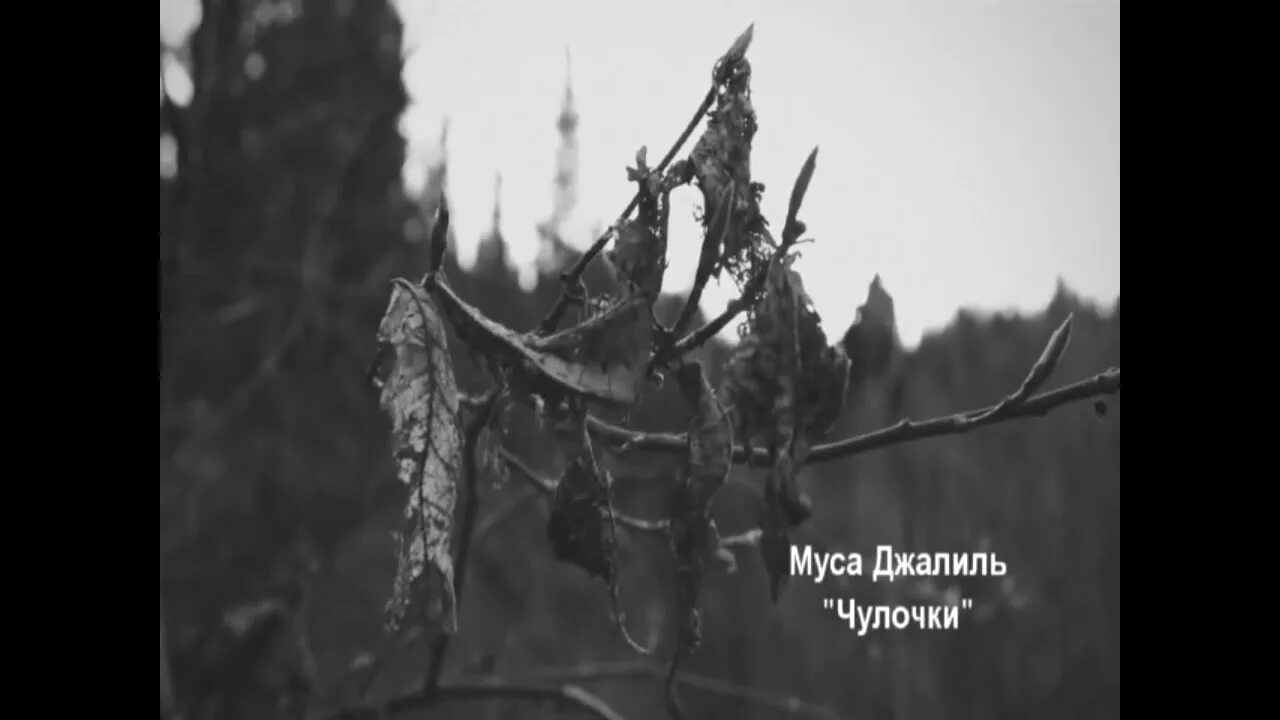 Муса Джалиль чулочки. Муса Джалиль чулочки видео. Муса Джалиль чулочки распечатать. Чулочки стихотворение Мусы Джалиля слушать. Сперва велели