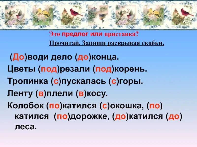 Записать 3 предложения с предлогами