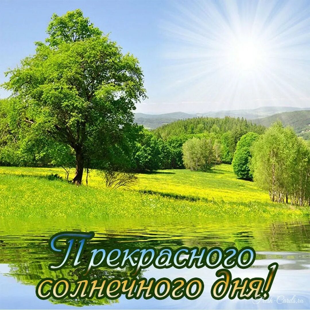 Солнечный отличный