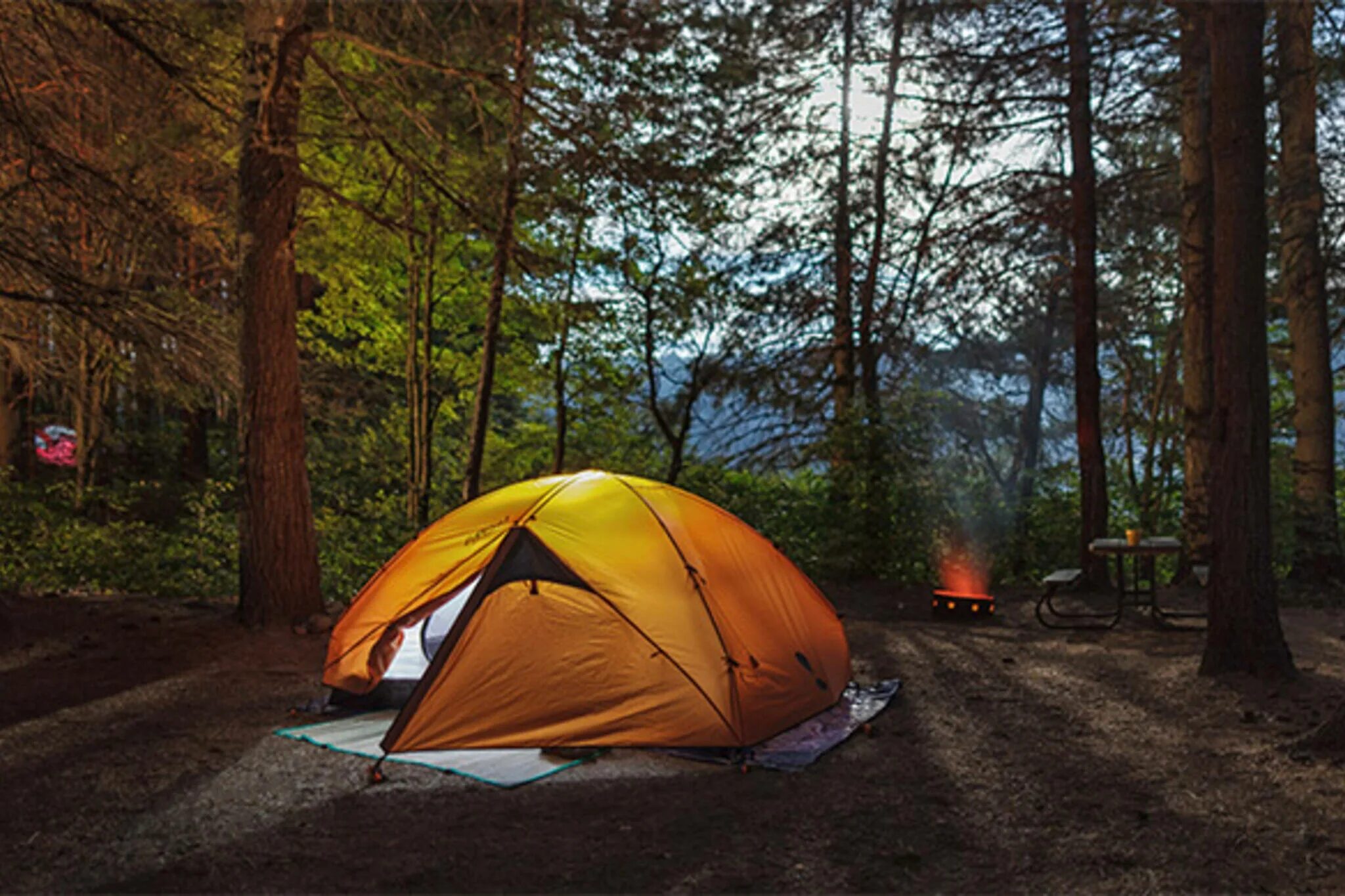 Семейная фотосессия у костра. San juan national forest campsite. Outdoor camping. Палатка в лесу. Near the camp.