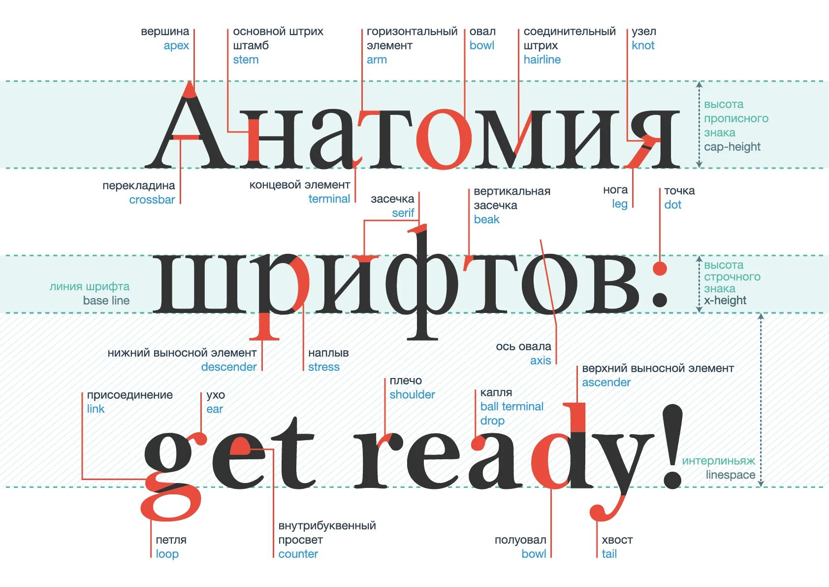 Значение слова шрифты. Анатомия шрифта. Основы типографики. Основы типографики и композиции. Строение шрифта.