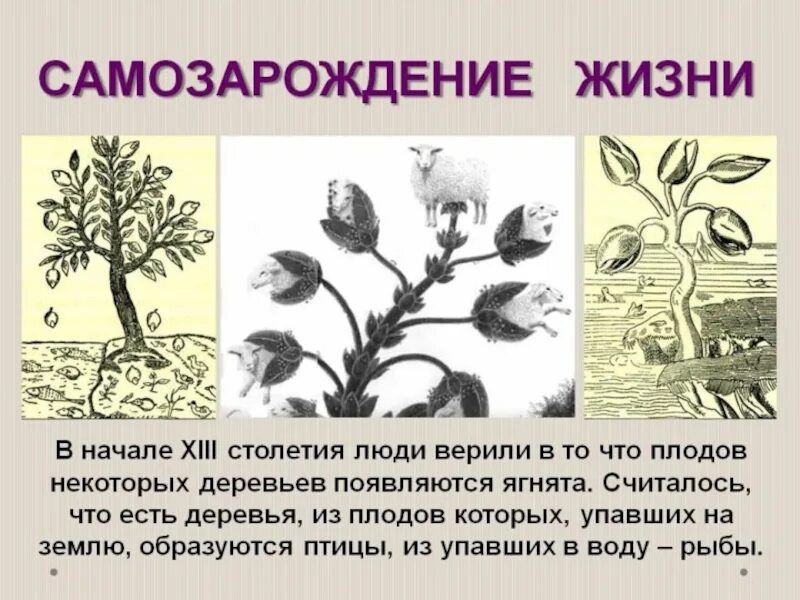 Гипотеза живое из неживого. Теория самозарождения жизни на земле. Гипотезы абиогенеза самозарождение. Зарождение жизни на земле самозарождение. Теория самозарождение жизни + и - гипотезы.