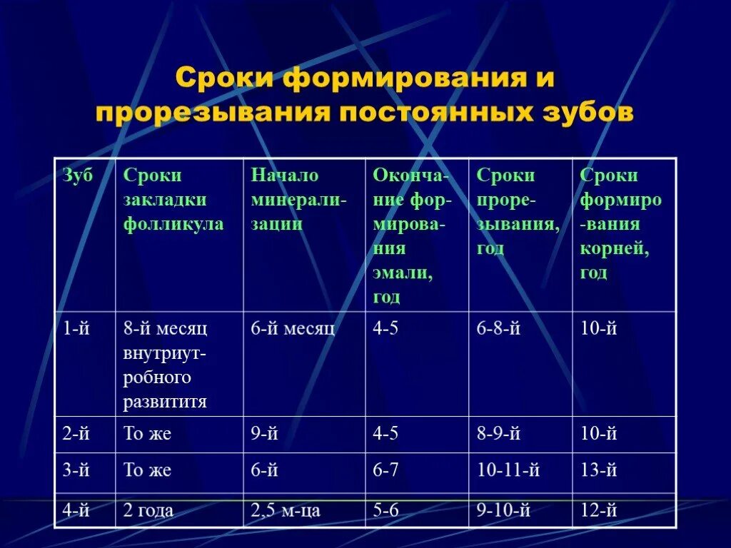 Непрерывно корень. Сроки развития временных и постоянных зубов. Сроки закладки фолликулов постоянных зубов. Сроки закладки минерализации и прорезывания постоянных зубов.