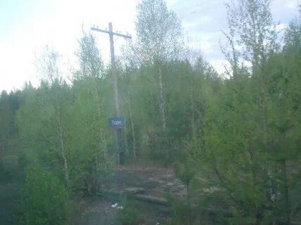 Торн киров