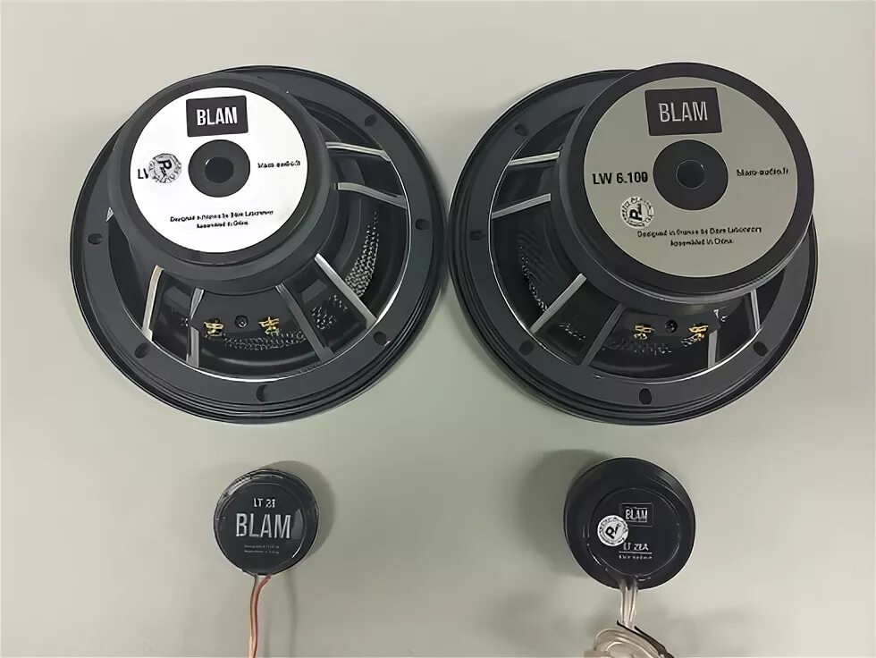 Акустика blam 165r2c. Blam relax r80. Сабвуфер blam r 8 el 20см / rms 300w / 2ом. Автоакустика blam 165 as. Blam frs3n50plus.