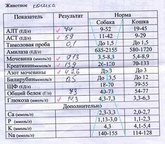 Биохимический анализ крови показатели нормы. Норма анализа крови у женщины биохимия. Показатели алт АСТ нормы для детей. АСТ В биохимическом анализе крови у детей норма. Норма сахара в крови у собак