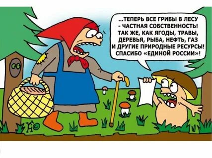 Грибы смешные картинки