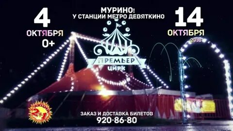 Цирк в мурино