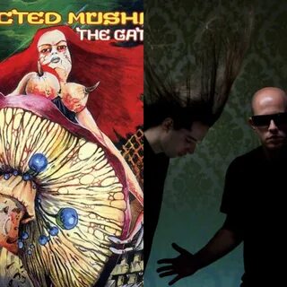 Песня infected mushroom change the formality