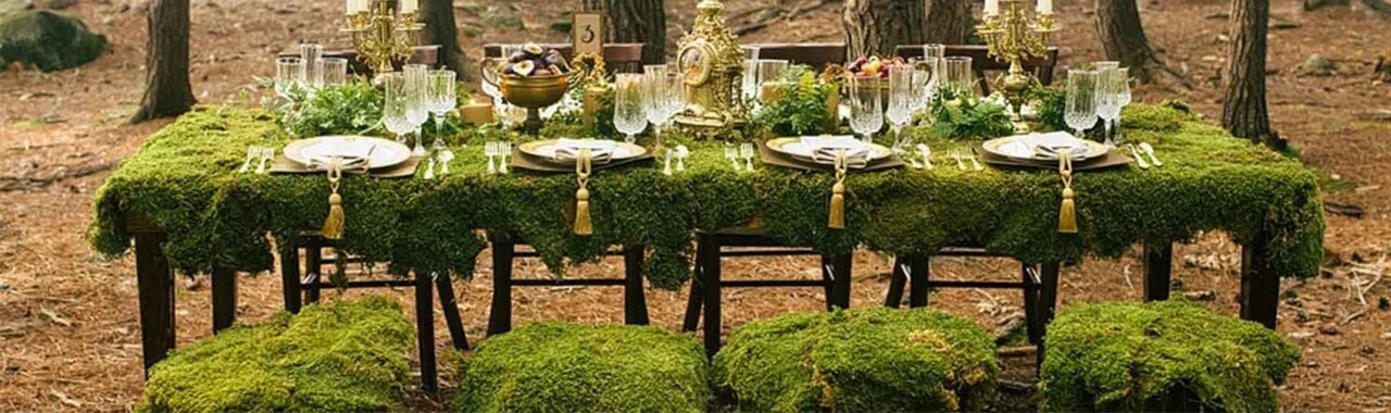 Natural events. Украшение свадебного зала в Лесном стиле. Украшение стола в стиле лес. Стол в стиле леса. Украшение праздник в лесу.