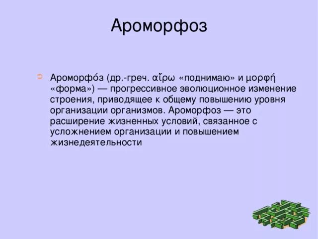Ароморфоз это в биологии кратко. Ароморфоз определение. Анаморфоз. Ароморфоз крупное эволюционное изменение. Ароморфоз это кратко.