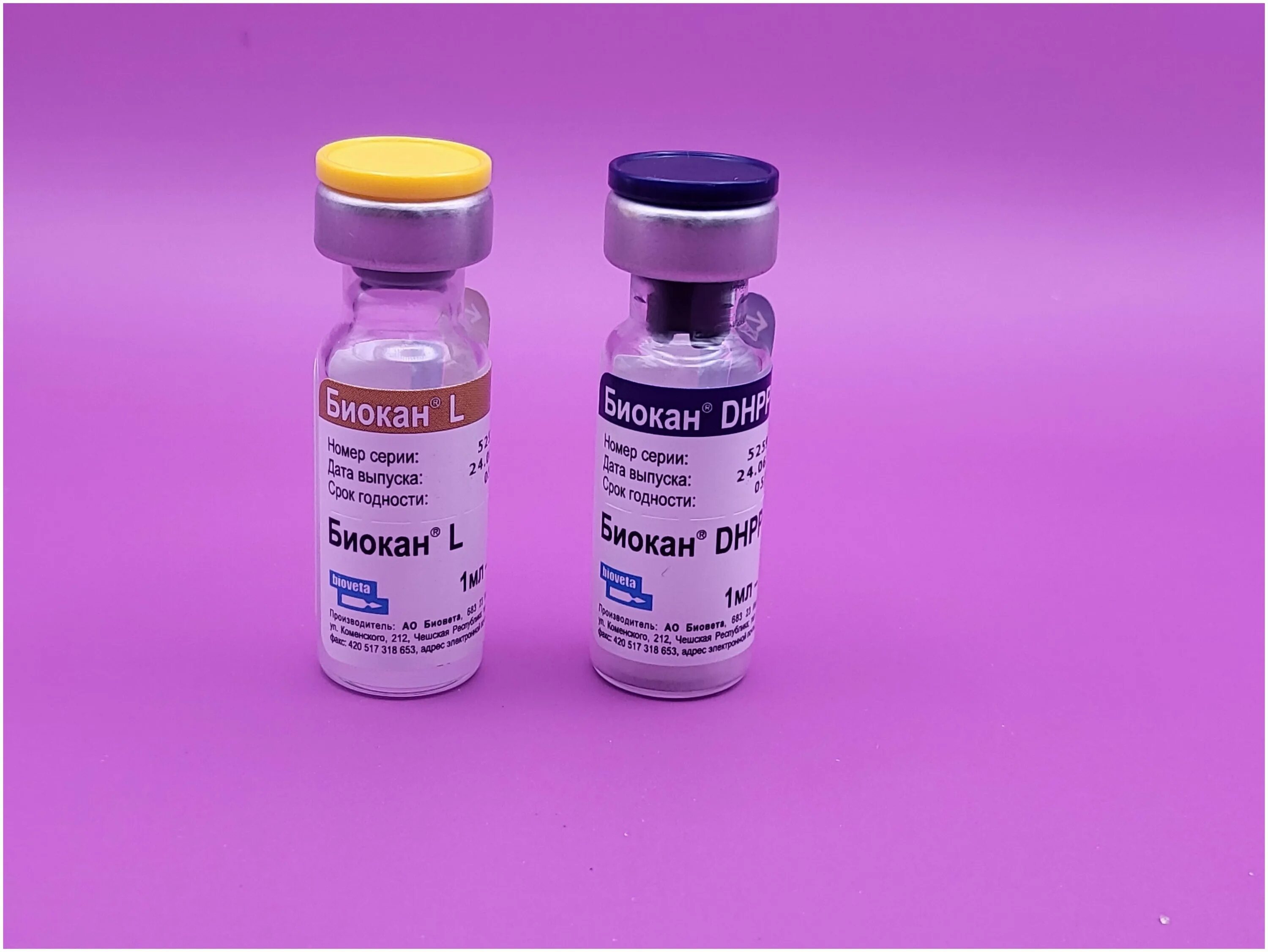 Биокан dhppi lr. Биокан dhppi lr. Биокан dhppi для собак. Вакцина биокан dhppi+lr. Чешскаяваецина биокан.