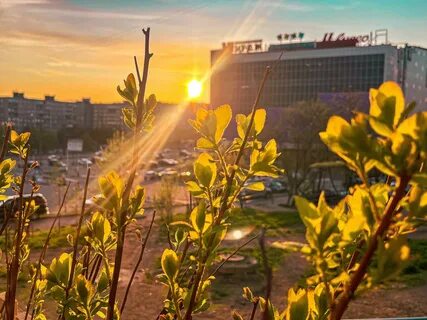 Прогноз на лето 2024 мурманск