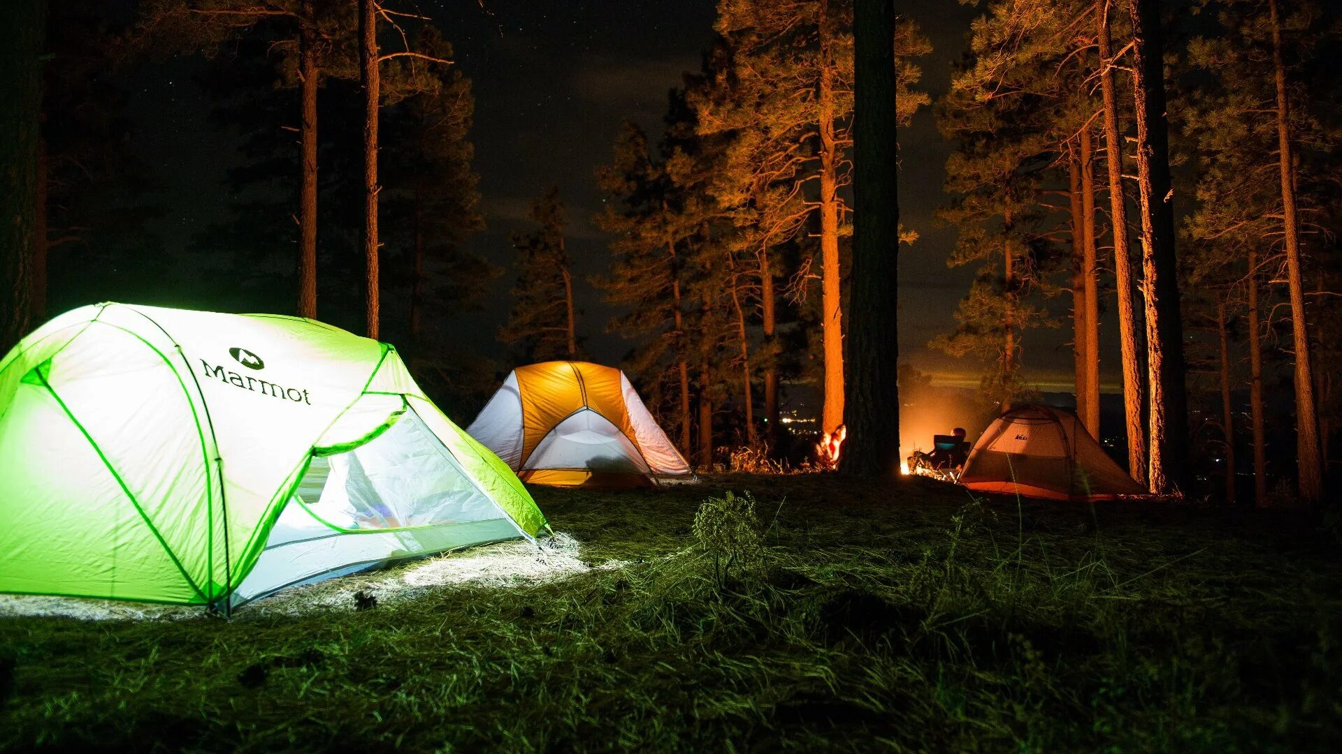 When we go camping. Палатка best Camp 165*165. Палатка в лесу. Поход с палатками. Лагерь с палатками.