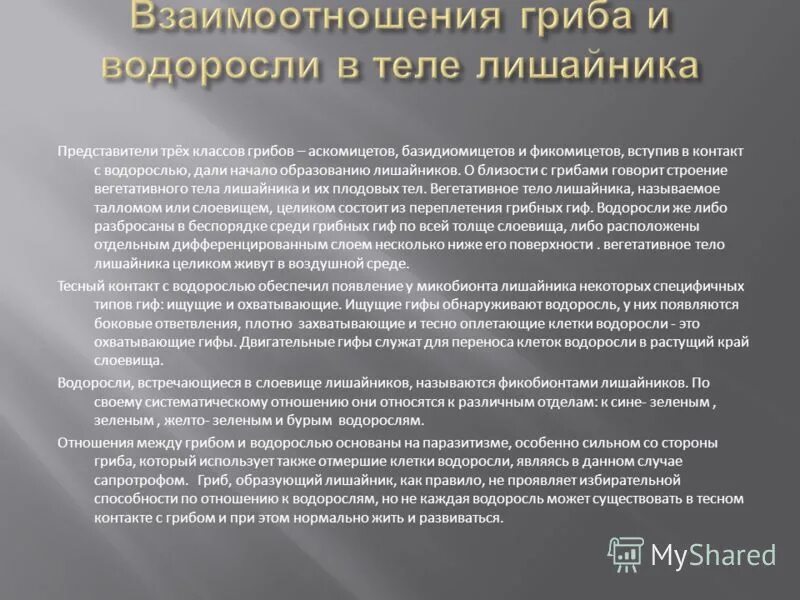 Отношения между грибом и водорослью. Лишайник это симбиоз. Отношения между грибом и водорослью. Отношения между грибом и водорослью. Отношения гриба и водоросли в лишайнике.