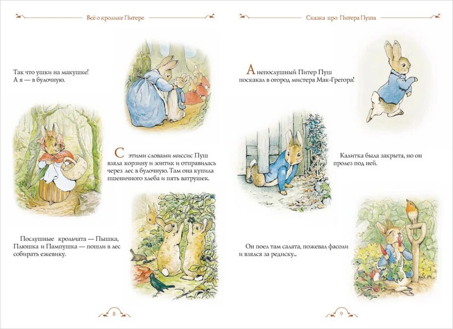 Котенок том и его друзья беатрис поттер. Кролик питер сказка. Беатрис поттер писательница. Б. Иллюстрации беатрис поттер уточка джемайма.