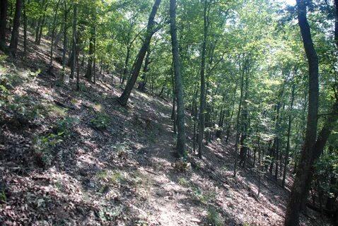 Side trail