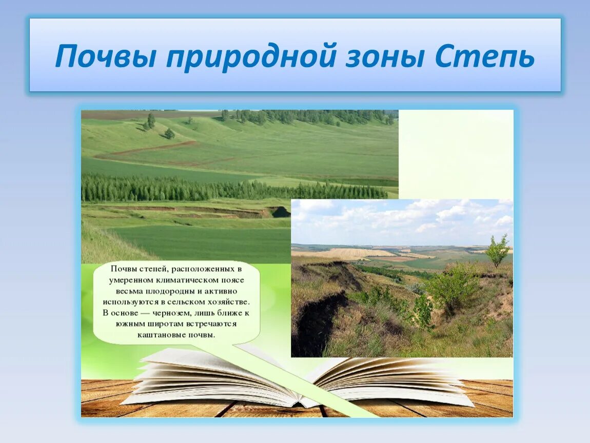 Степь природная зона. Природная зона степь почва. Природные зоны 4 класс презентация. Природные зоны России зона степей.