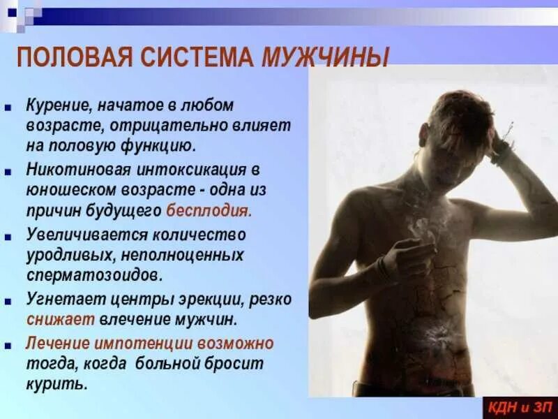 Курить можно мужчинам. Влияние курения на организм мужчины. Как сигареты влияют на организм мужчины. Последствия курения для мужского организма. Как курение влияет на организм мужчины.